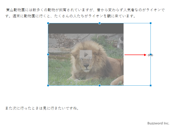 動画のサイズを設定する(2)