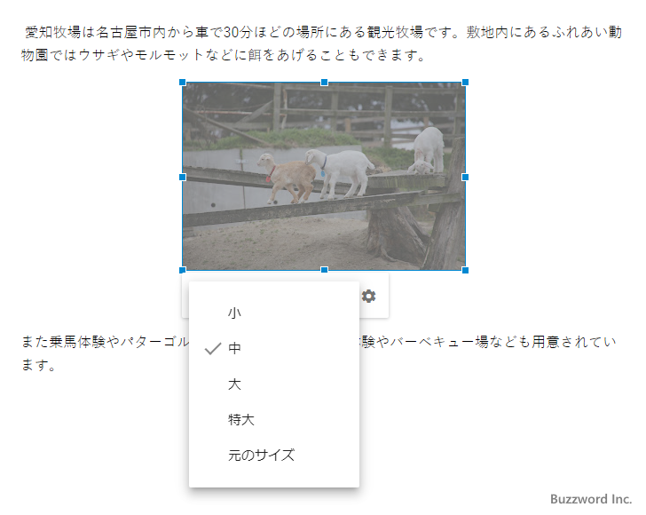 表示する画像のサイズを選択する(3)