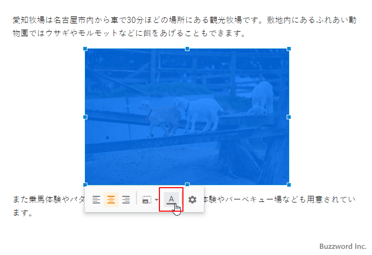 タイトルテキストと代替テキストを設定する(1)