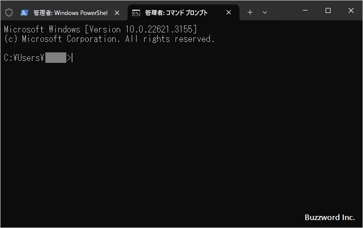 ターミナルから起動する(5)