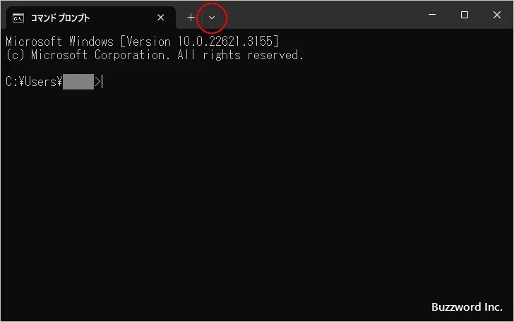 文字のサイズを変更する(1)