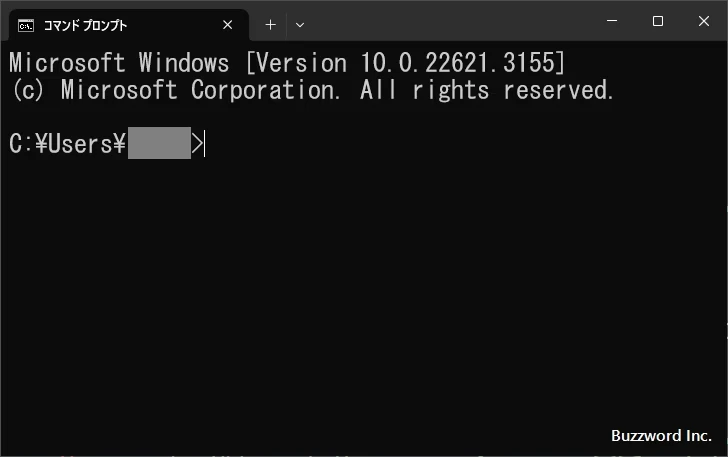 文字のサイズを変更する(10)