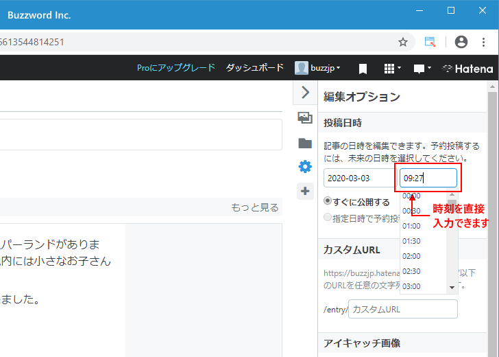 新しい記事の投稿日時を設定する(10)