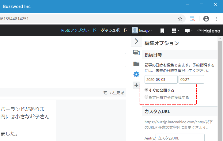 新しい記事の投稿日時を設定する(11)