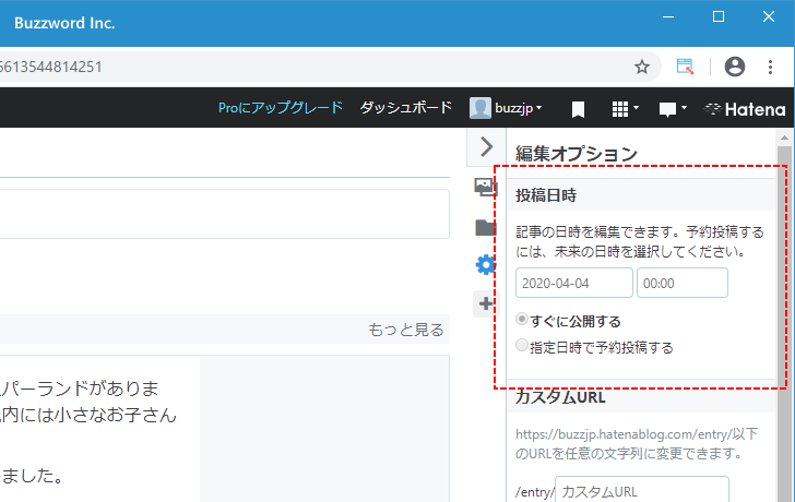 新しい記事の投稿日時を設定する(4)