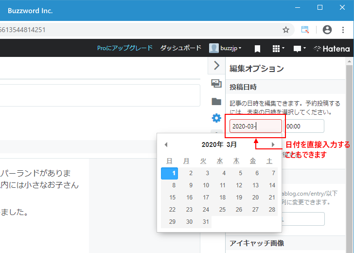 新しい記事の投稿日時を設定する(7)