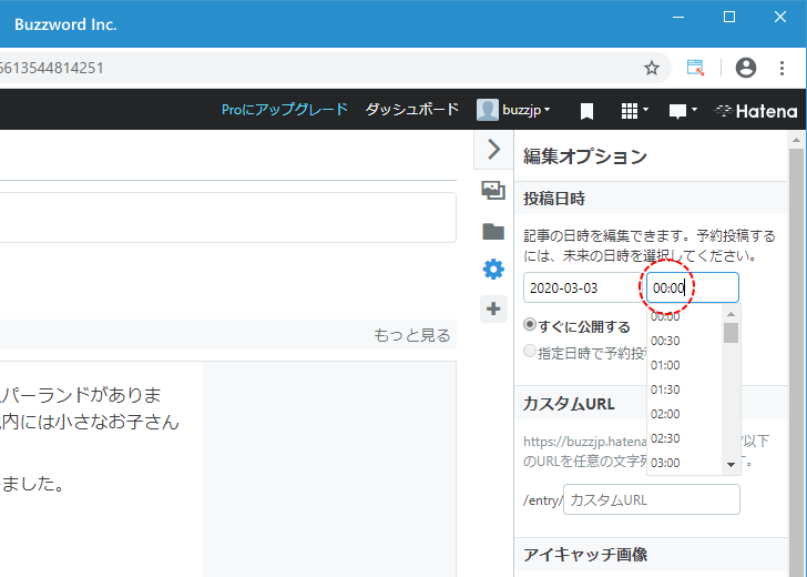 新しい記事の投稿日時を設定する(8)