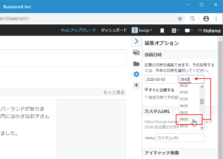 新しい記事の投稿日時を設定する(9)