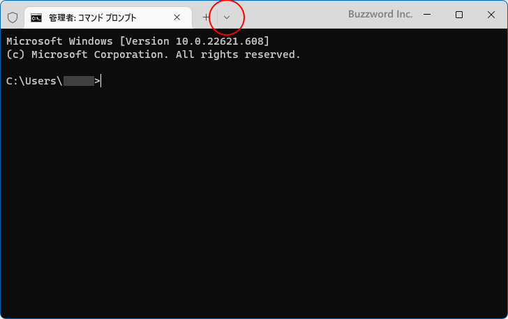 ターミナルを使ってWindows PowerShellを管理者として実行する(4)