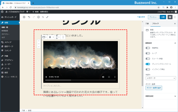 動画ブロック(1)