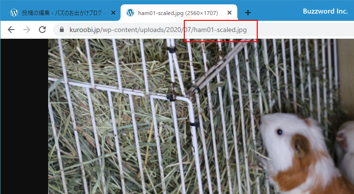 大きな画像をアップロードした時のデフォルト動作を確認する(8)