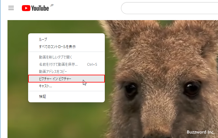 動画をピクチャーインピクチャーで再生する(3)