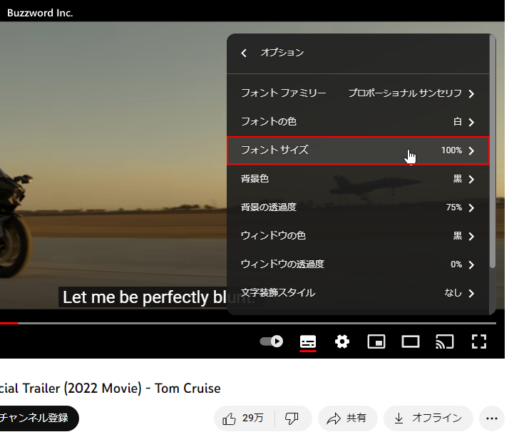 字幕の背景色やフォントなどのオプションを設定する(5)